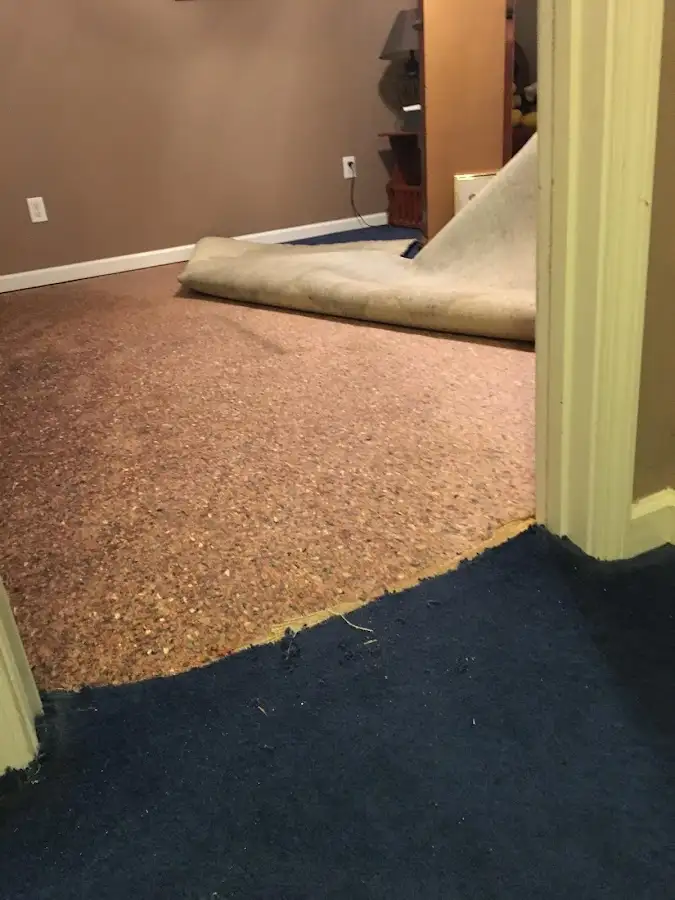 Carpet pad removal revealing water damage during Drying & Dehumidification in East Haddam