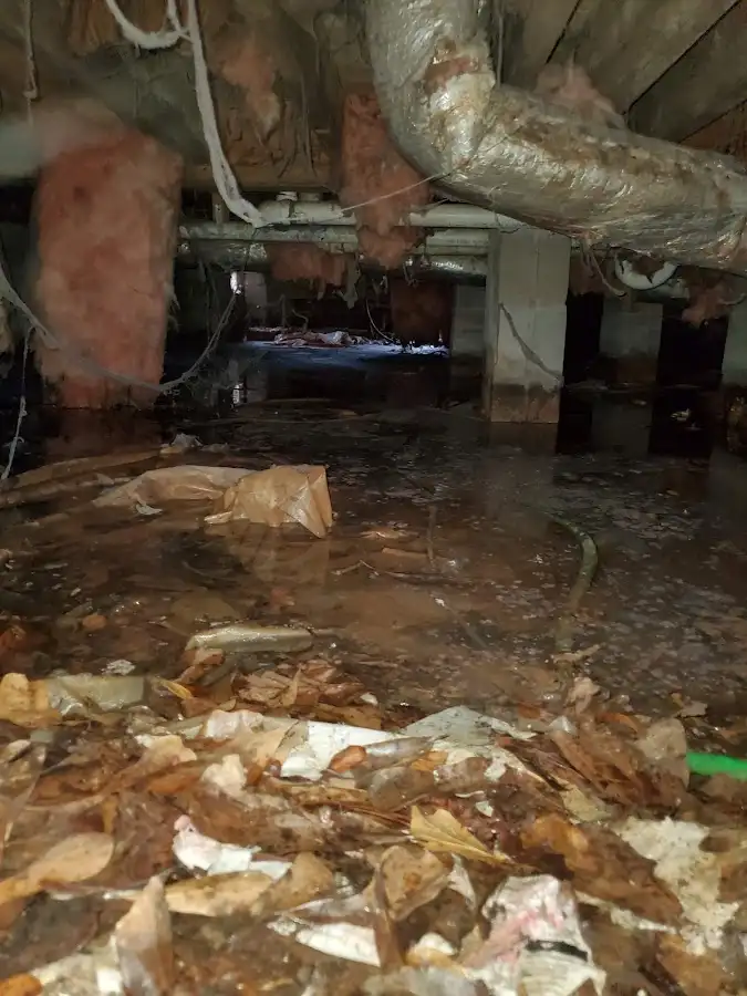 Crawl space flood assessment for Leak Detection & Repair in East Haddam